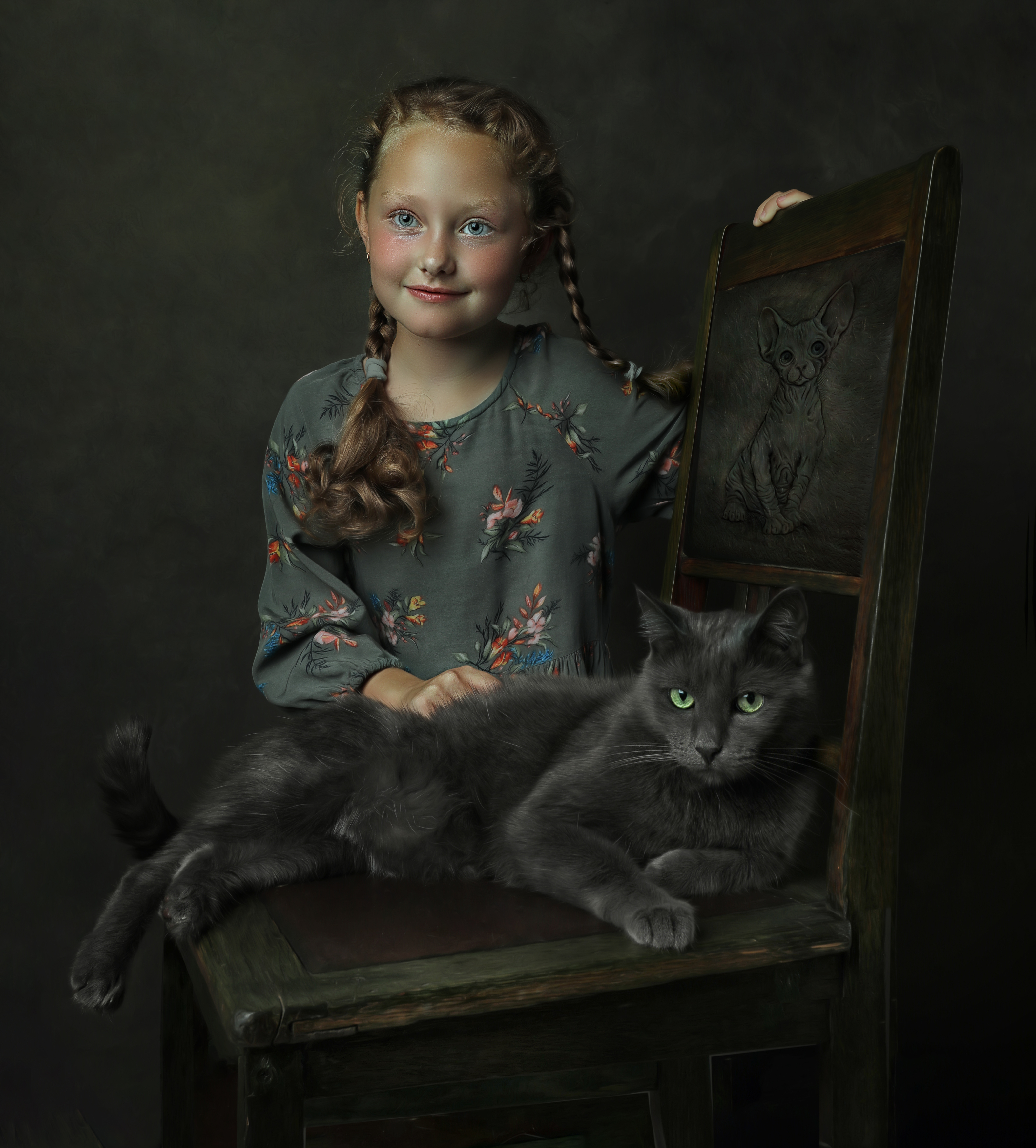 котики, серый кот, коты, Наталья Туева