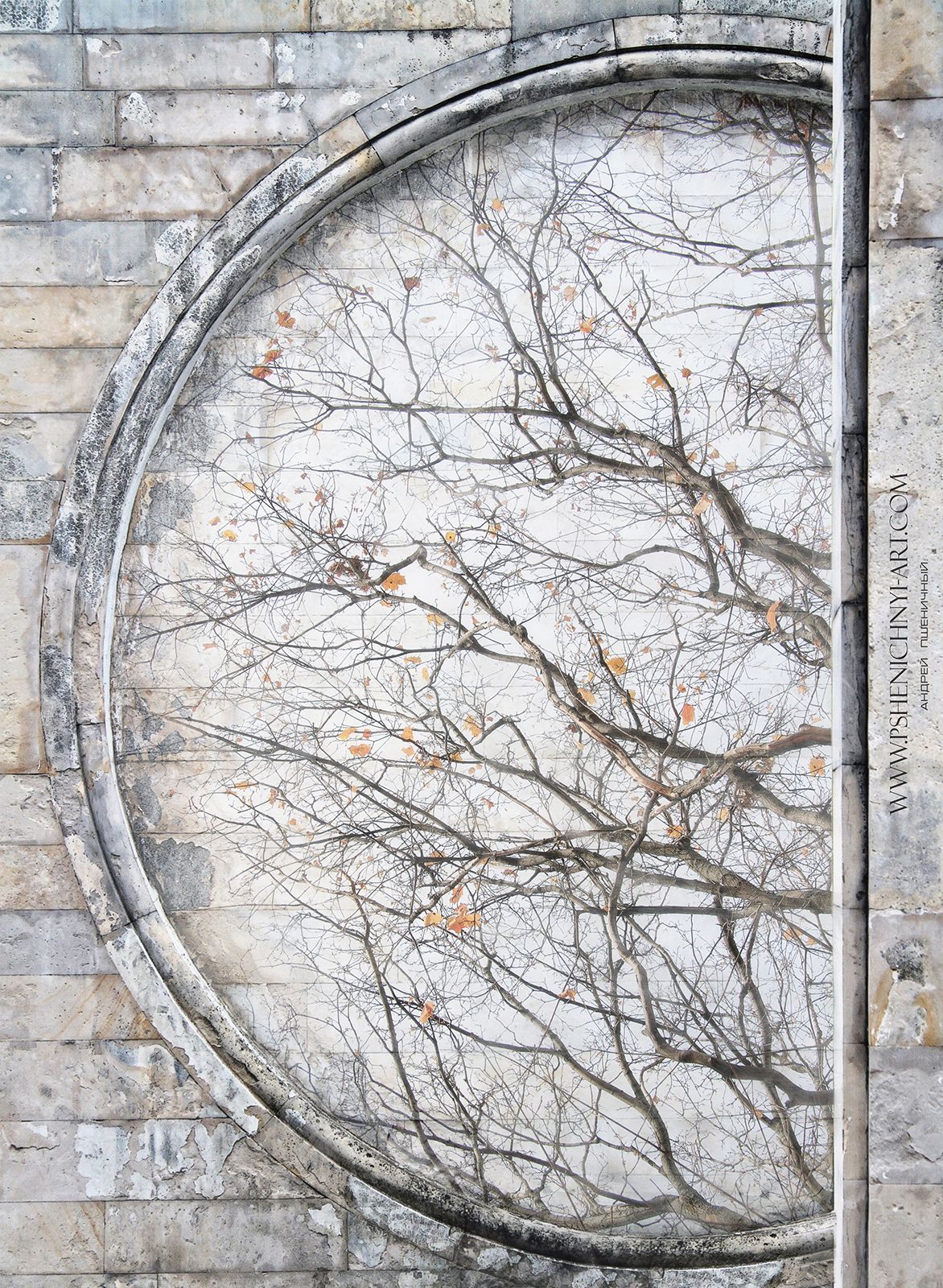 осень, клён, осенние листья, ветви, окно, стена, иллюзия, концепция, Пшеничный Андрей