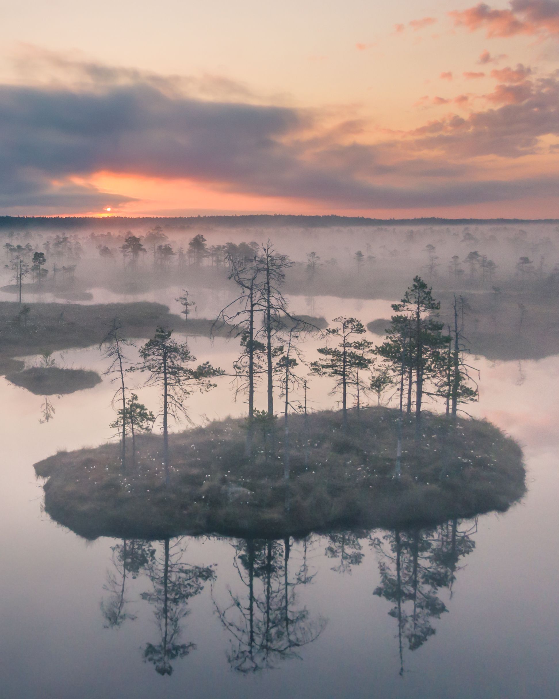 #estonia, #estoniabogs, #nature_of_estonia, #naturelovers, #sunrise_sunset_photogroup, #sunriseoftheday, #foggymorning, #foggy, #bog, #kõnnusuursoo, #visitharju, #visitestonia, #earlymorningwalk, #morningmotivation, #sunrise_sunsets, #dji, #drone, #aerial, Nikolai Mordan