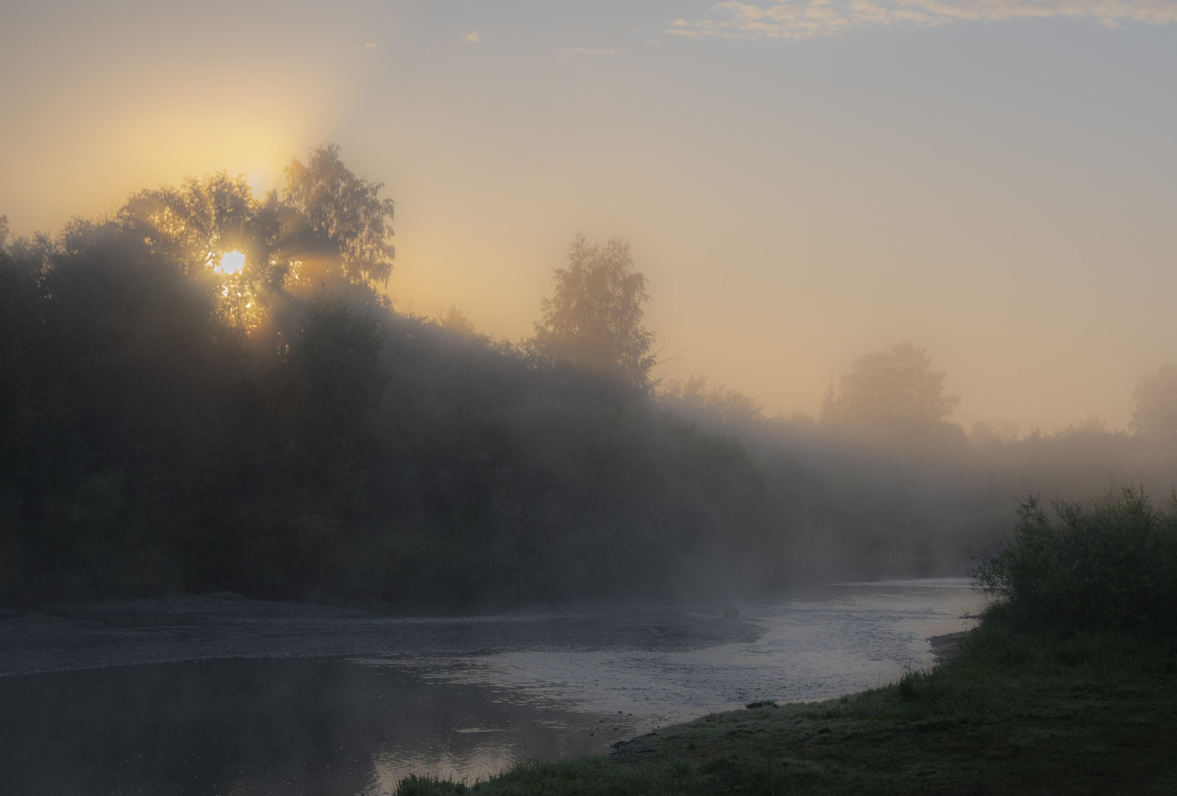 туман восход рассвет солнце ручей лес, Зорин Дмитрий
