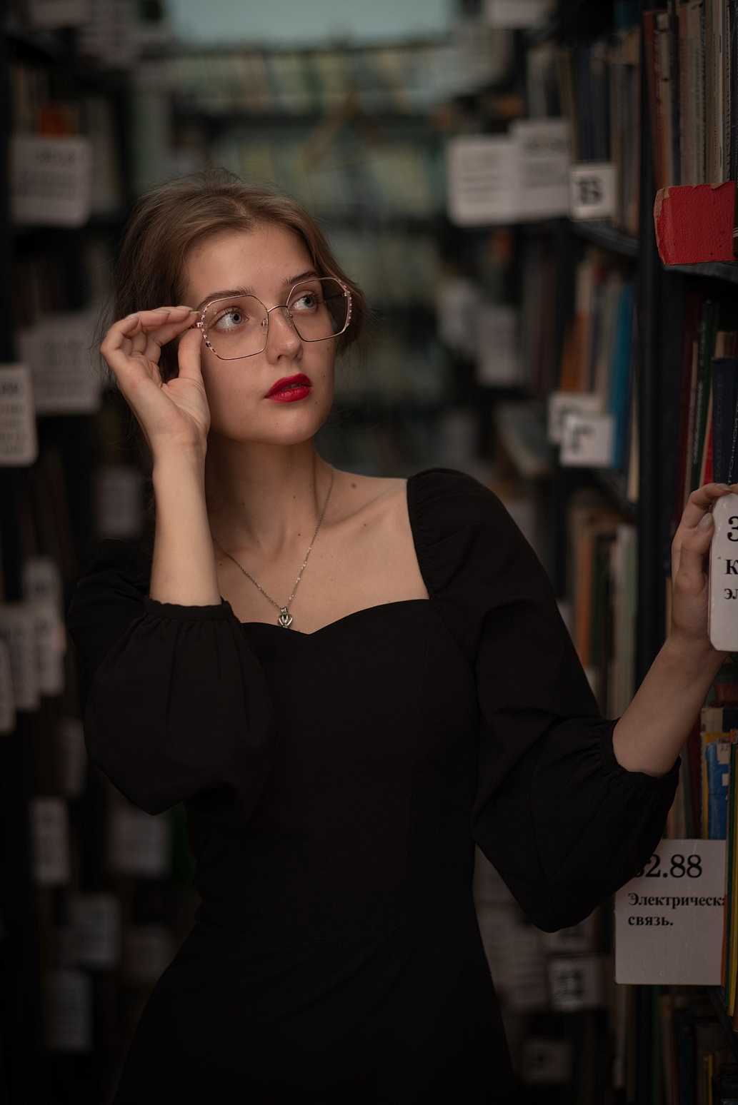 библиотека, книги, очки, ретро, портрет, модель, чтение, Арсен Алабердов