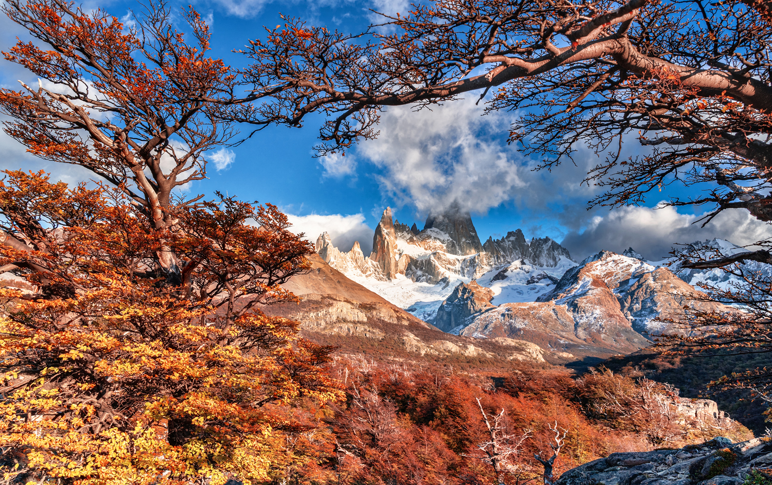 природа, пейзаж,горы, Фицрой,Патагония,Аргентина, Лариса Дука