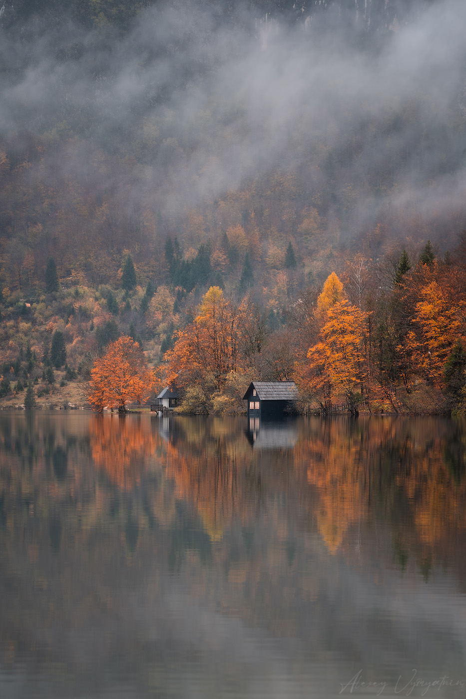 slovenia, outdoor, autumn, fog, white, mountains, trees, travel, topview, Алексей Вымятнин