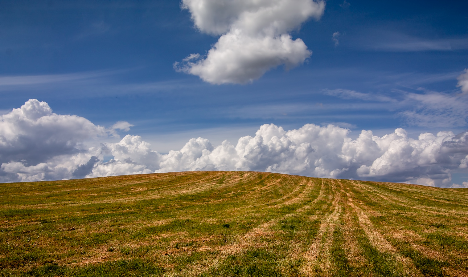 небо, облака, поле, лето,, Сергей Шабуневич