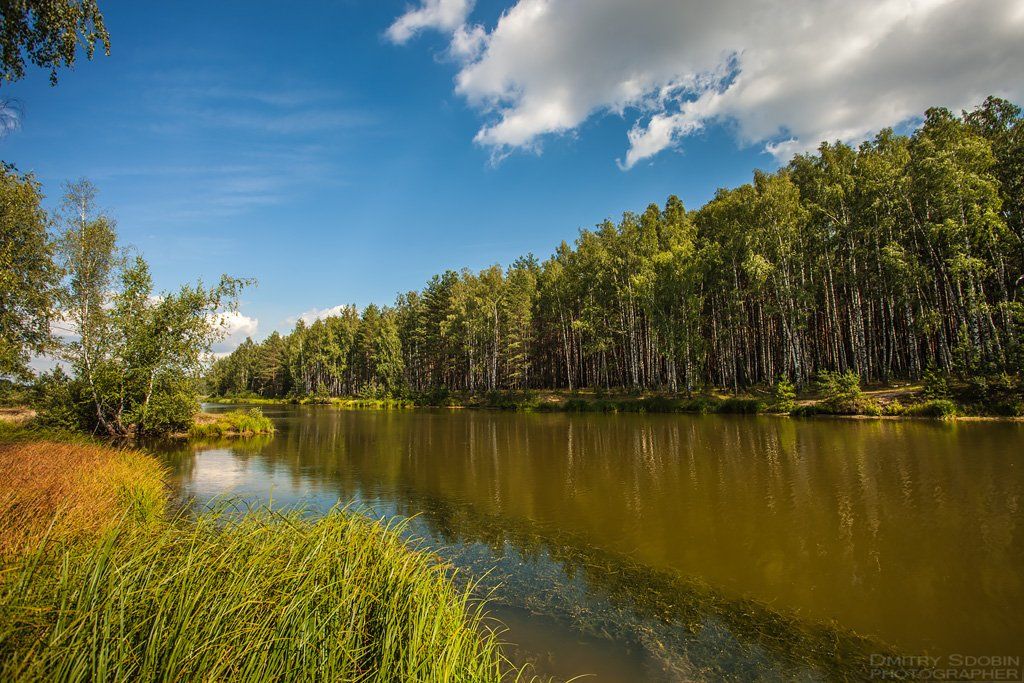 Вода, Дикая природа россии, Лес, Лето, Небо, Облака, Озеро, Природа, Солнце, Сдобин Дмитрий