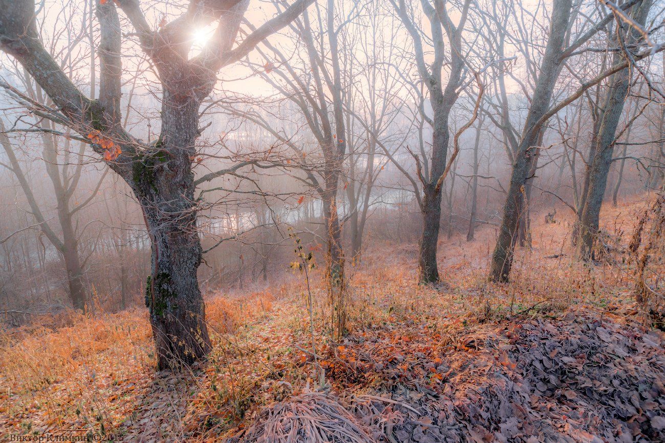 листва, осень, река, солнце, туман, Виктор Климкин