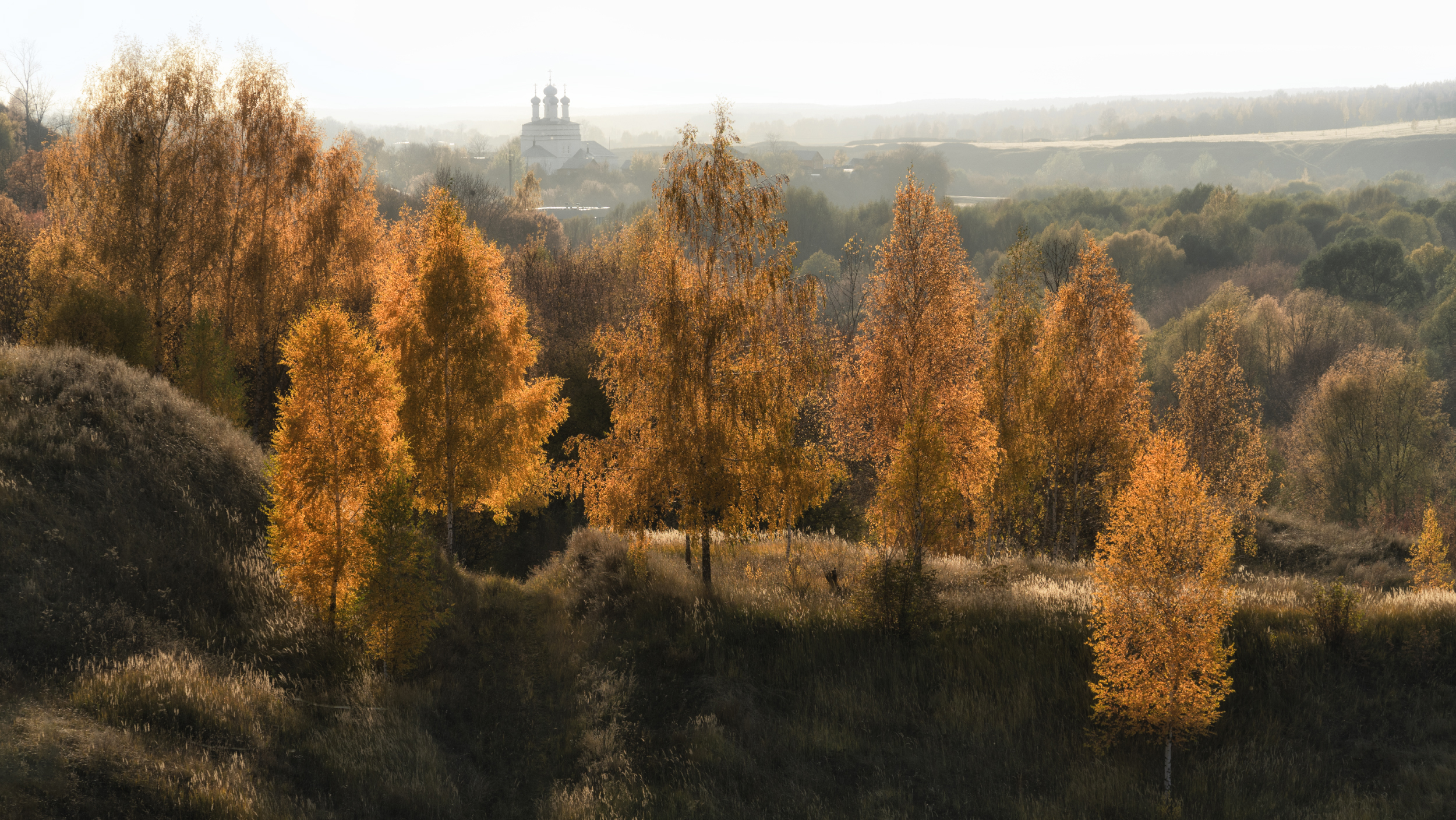 деревья церковь осень, Колесов Андрей