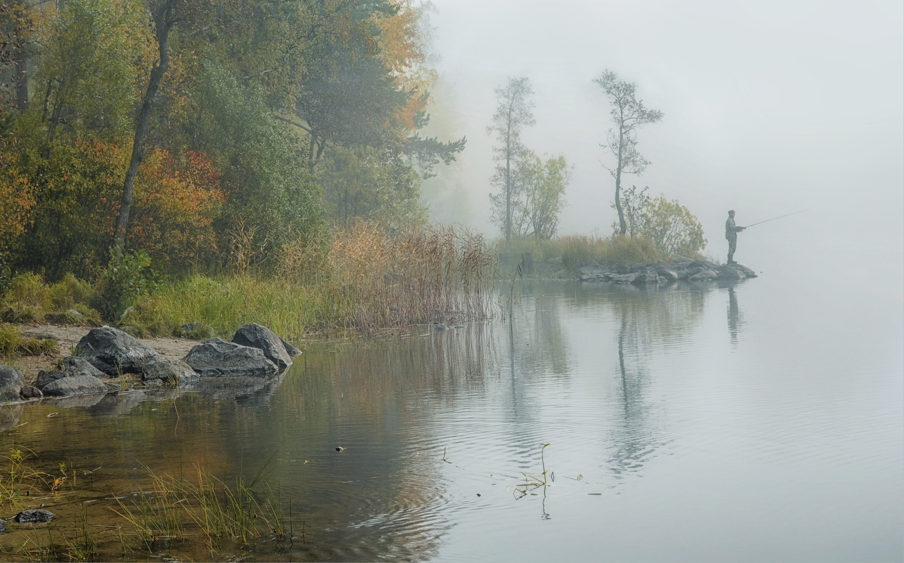 озеро деревья камни рыбак туман, Вера Петри