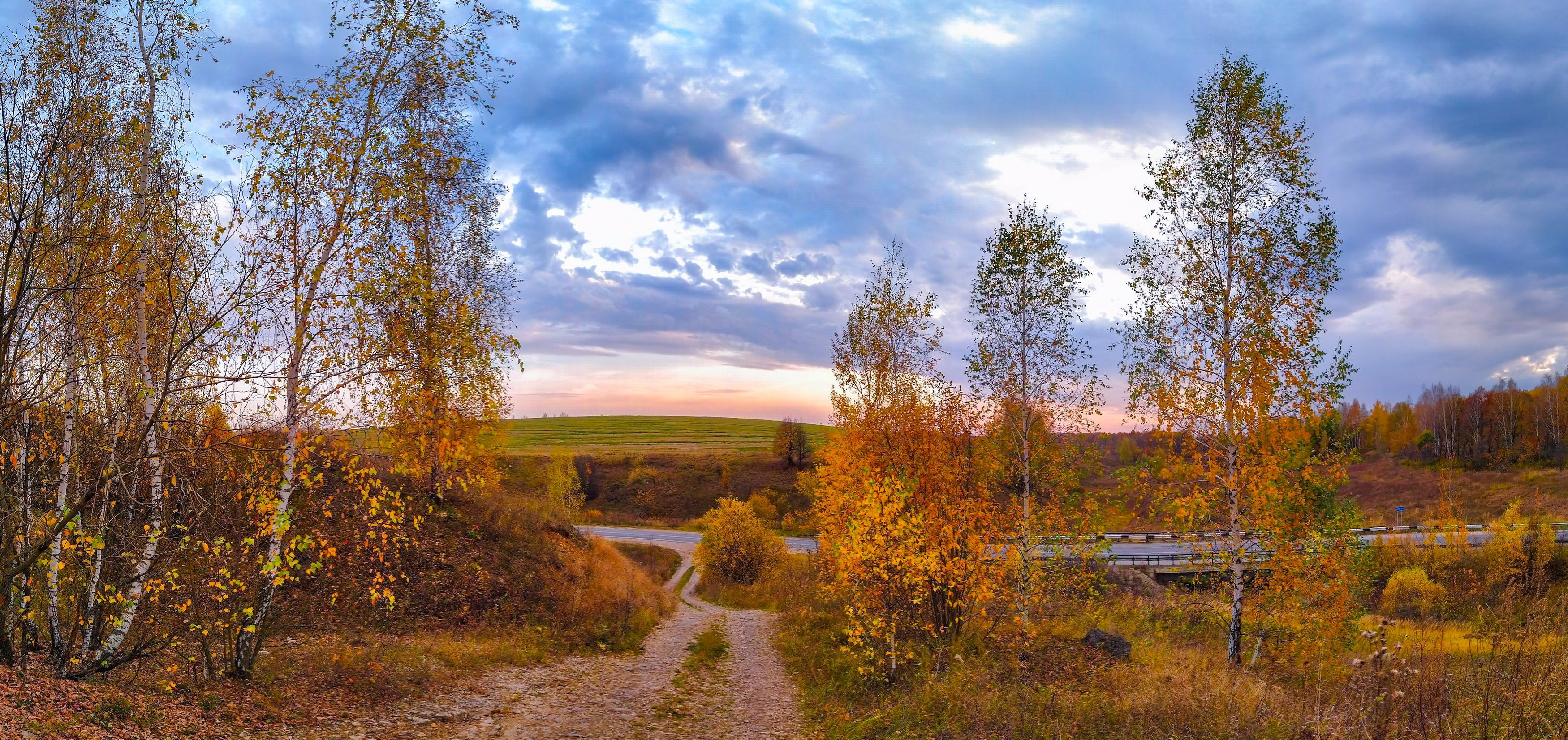 , Светлана Кондрашова