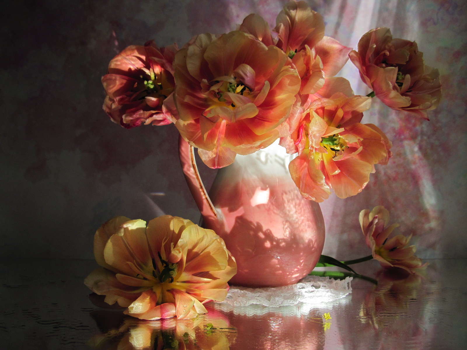 тюльпаны, солнце, светотень, отражение, Наталия Тихомирова