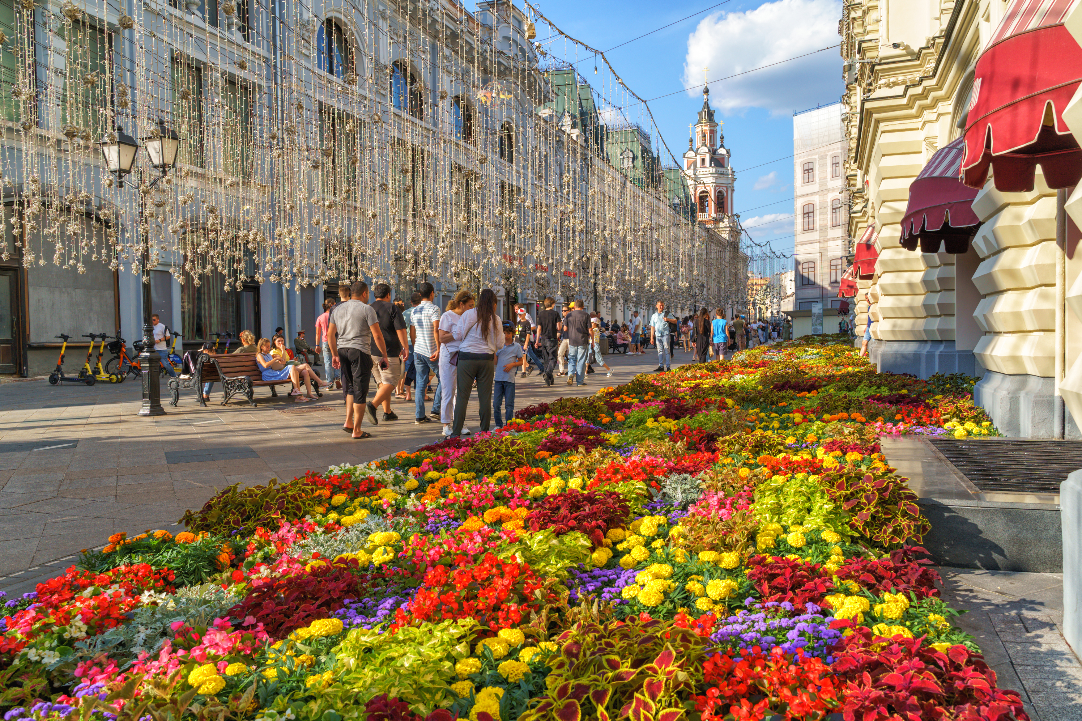 природа, лето,Москва, ГУМ,цветы,ландшафт, Лариса Дука