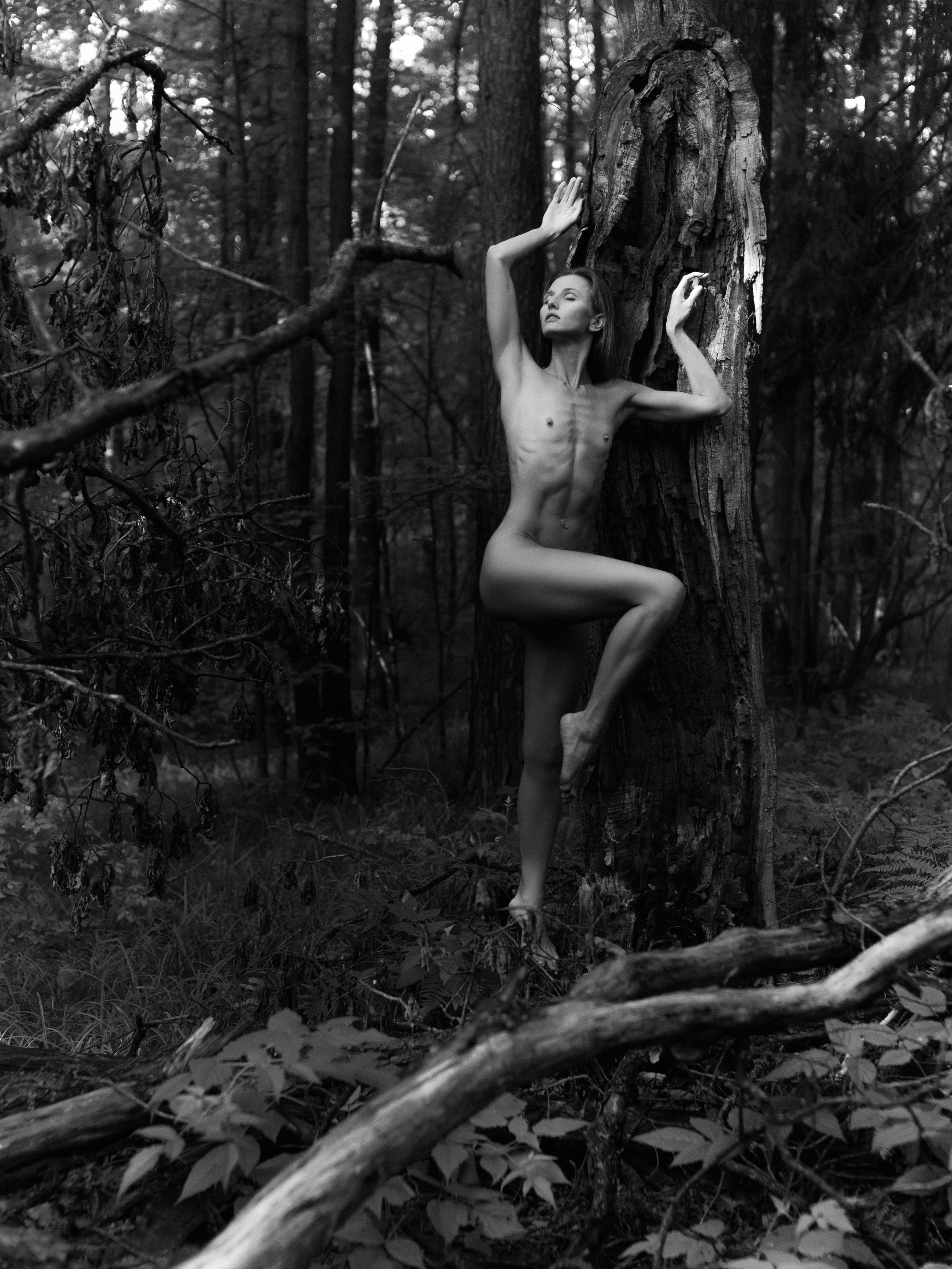чб обнаженная девушка дуб лес природа красота рассвет, Андрей Репин