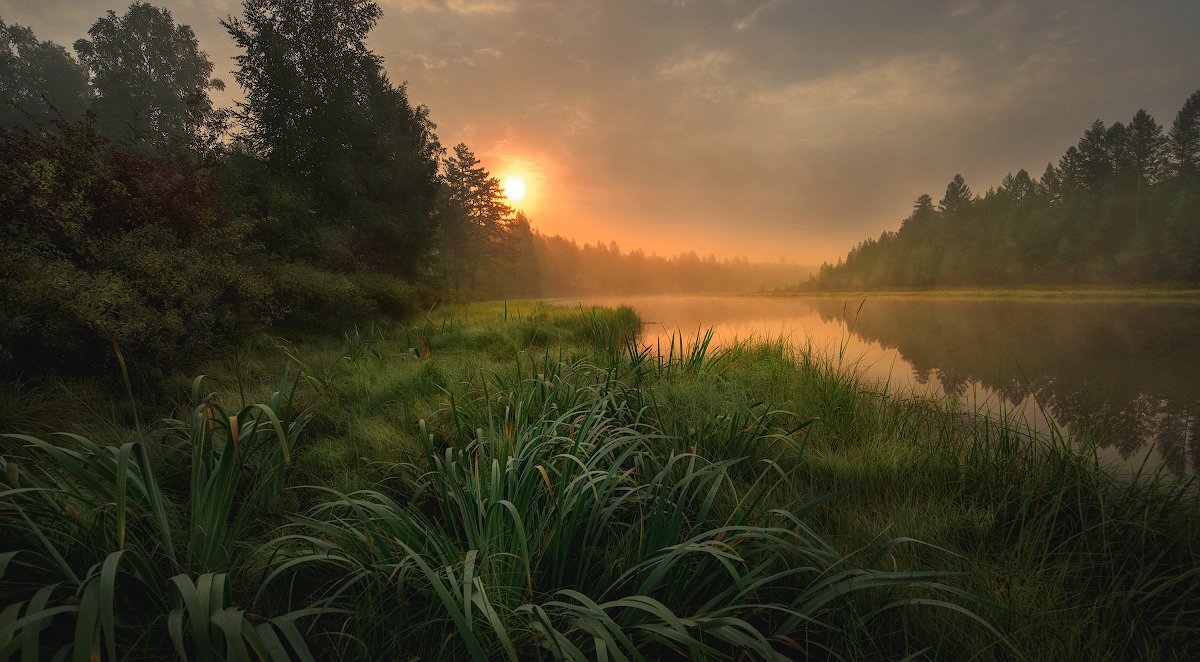 озеро, тайга, рассвет, лес, утро, туман, Дмитрий Демидчик