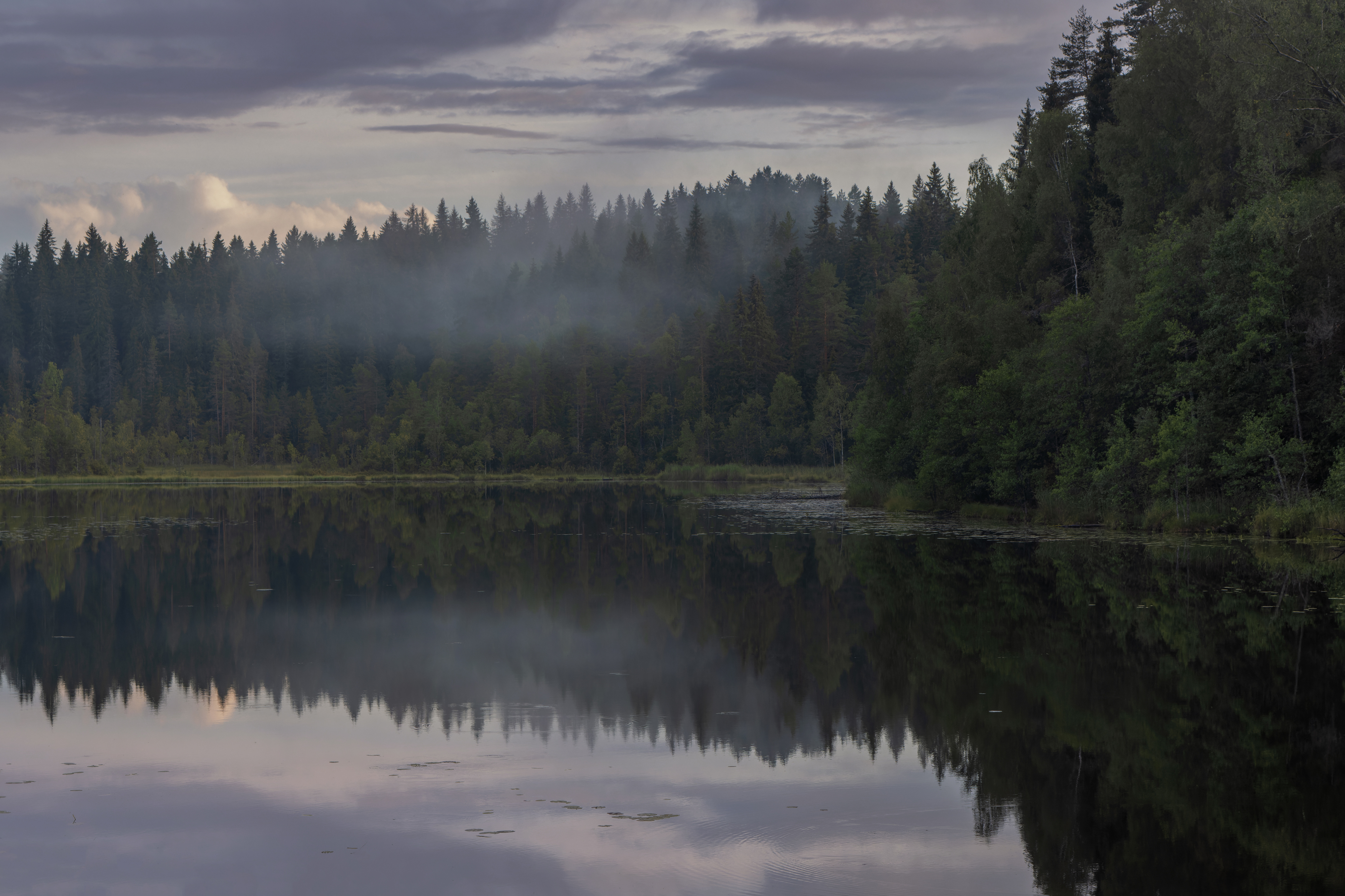 озеро вечер отражение туман облако пар, Светлана Холодняк