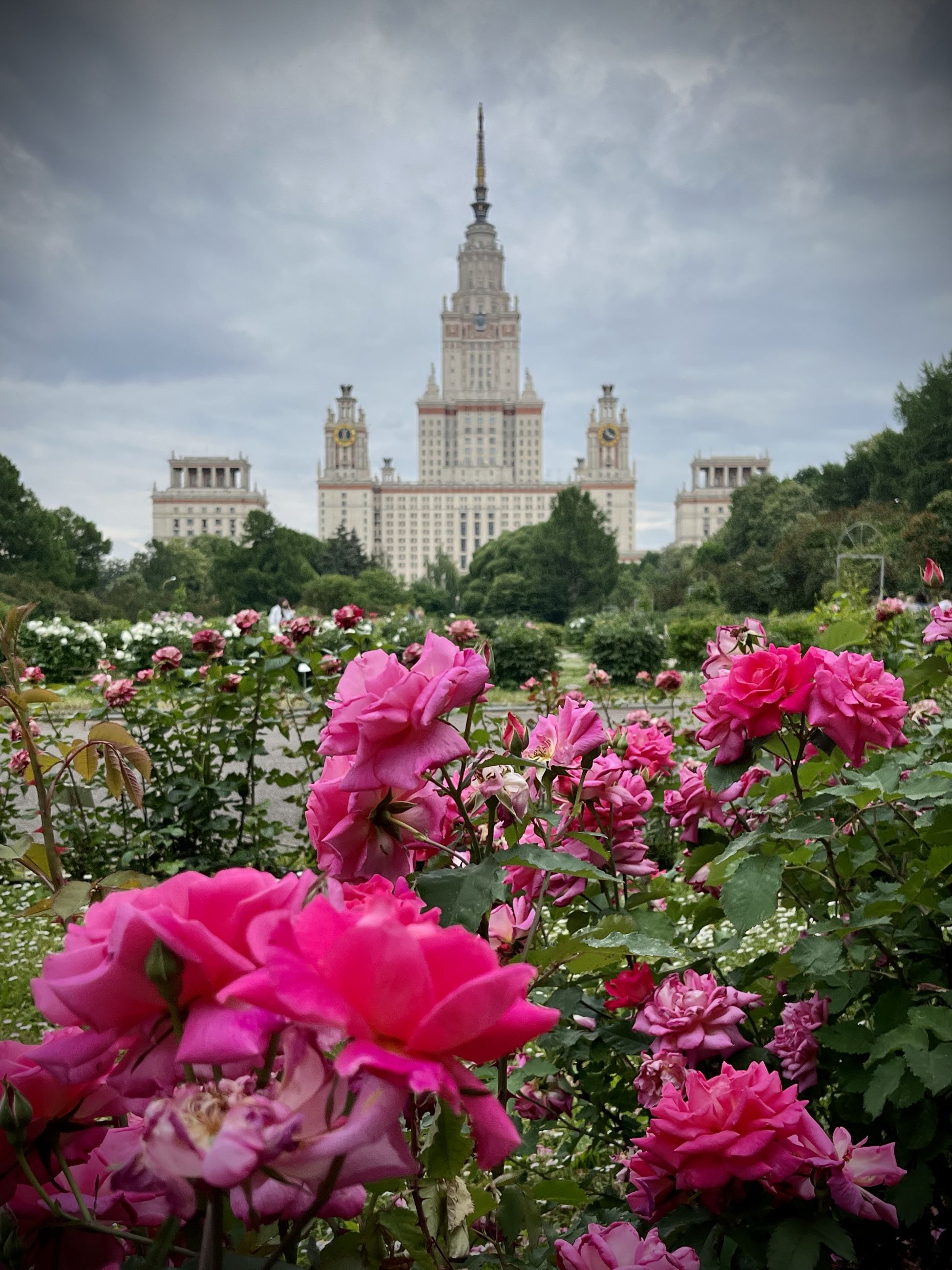 , Бравичева Анастасия