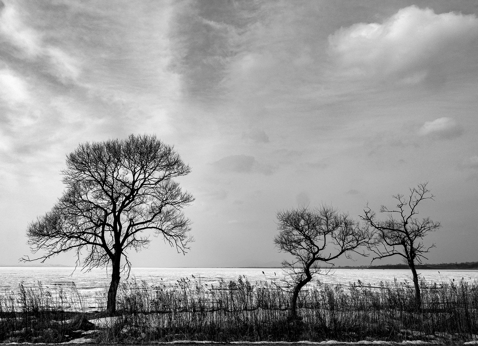 Море, лед, деревья, Чернышев Валерий