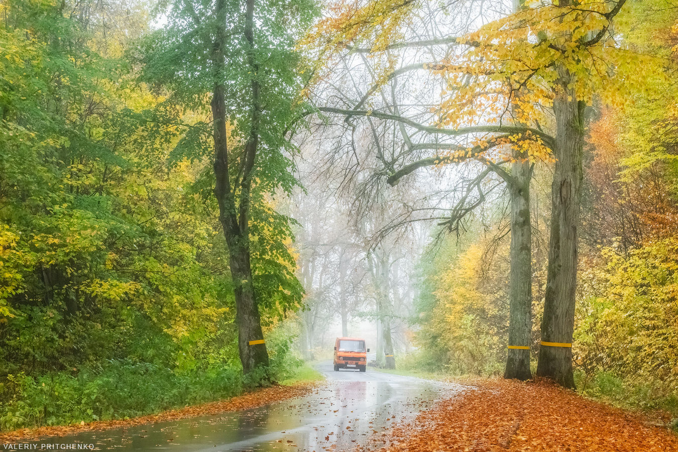 осень, природа, пейзаж, autumn, landscape, Валерий Притченко