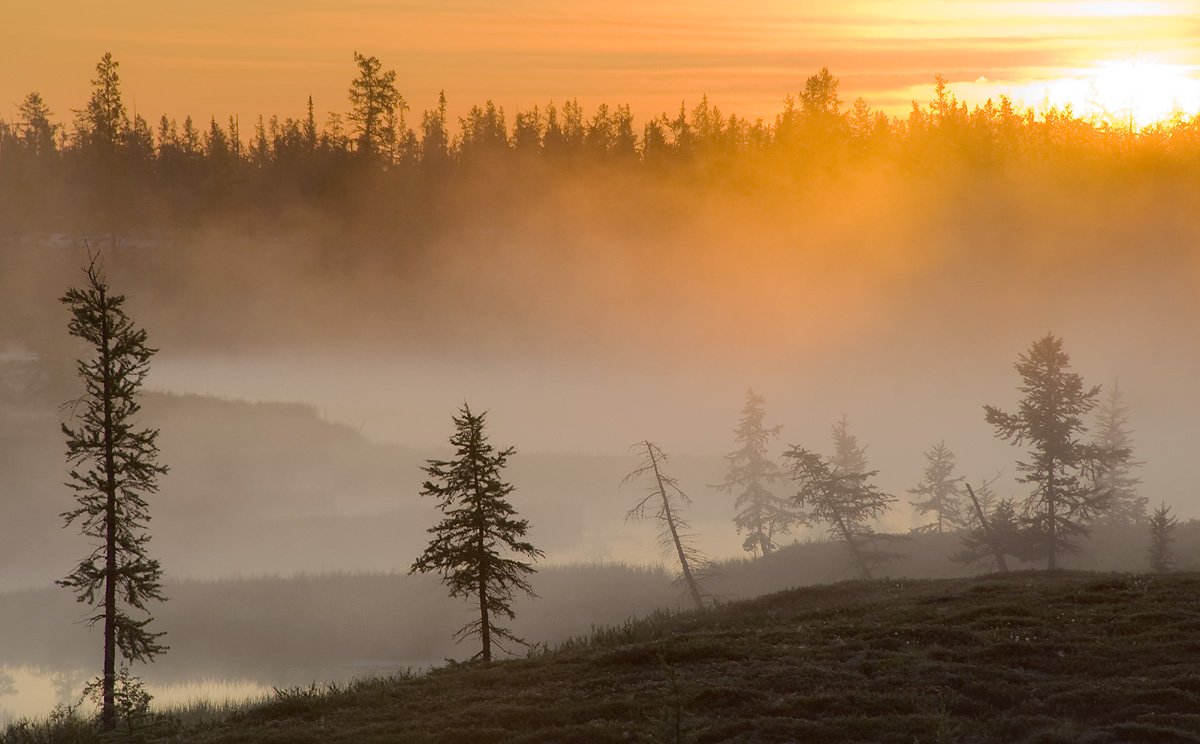 север, природа, туман, утро , пейзаж,, Danil Husainov