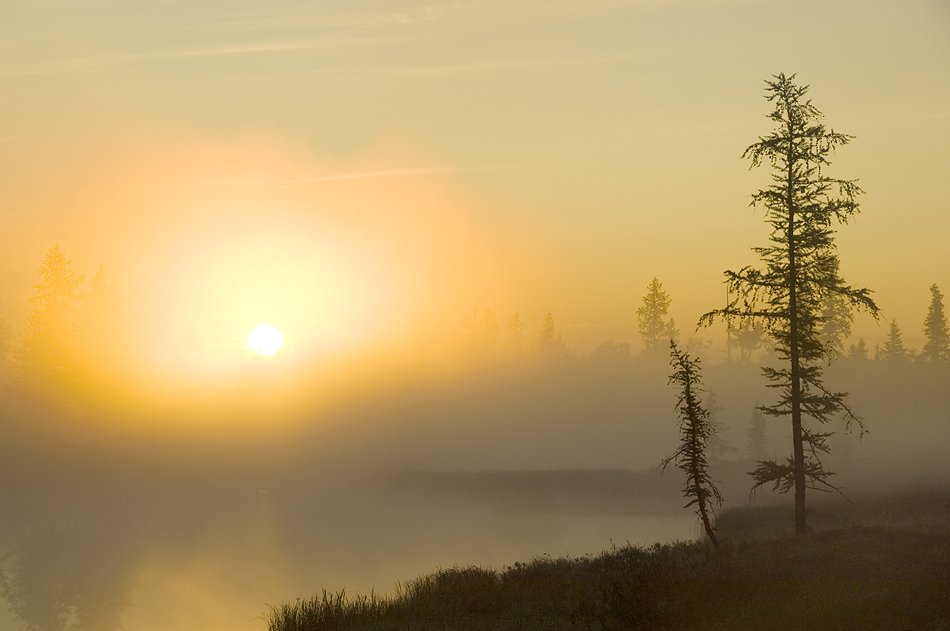 север, природа, туман, утро , пейзаж,, Danil Husainov