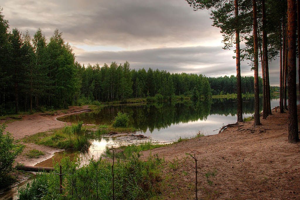 hdr, вода, деревья, евгений поздняков, красота, лес, лето, небо, облака,photoshop, озеро, отражение, отражения, пейзаж, природа, рассвет, ручей, утро, Евгений Поздняков