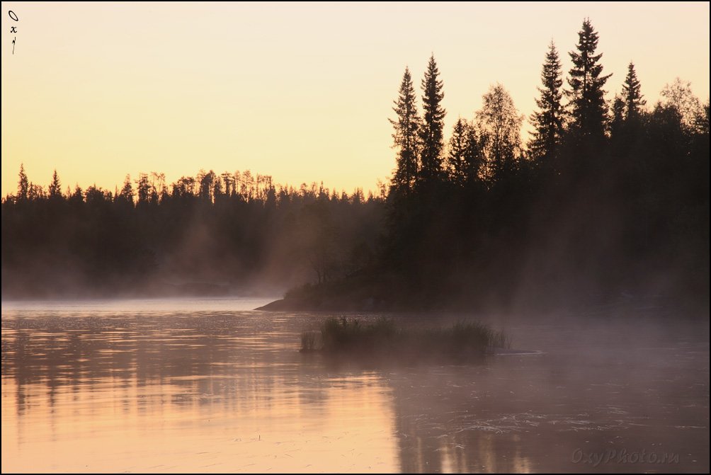 russia, россия, север, north, мурманская область, тумча, река, river, лес, Оксана Борц