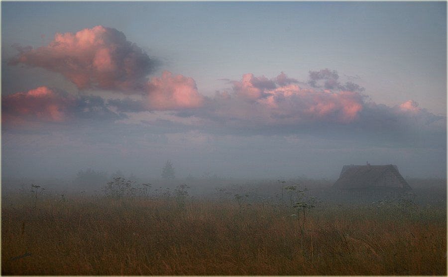 тверская область, харитоново, луг, рассвет, туман, Lampadina (Svetlana Maximova)