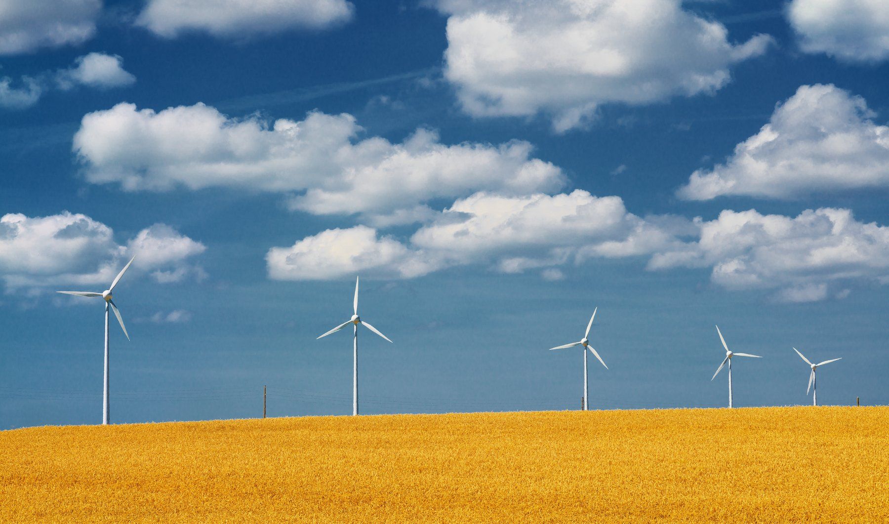 небо, облака, ветрогенератор, пшеница, поле, электричество, экология, синий, желтый, белый, Sergey Skopintsev