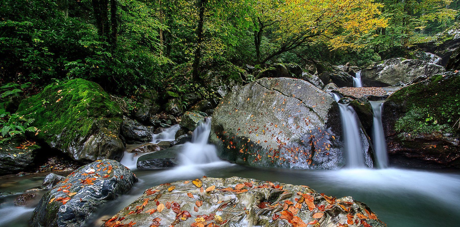 waterfall forest beauty yellov orange leaves water beauty canon 6D tamron 17-35mm, Taner Ragıpoğlu