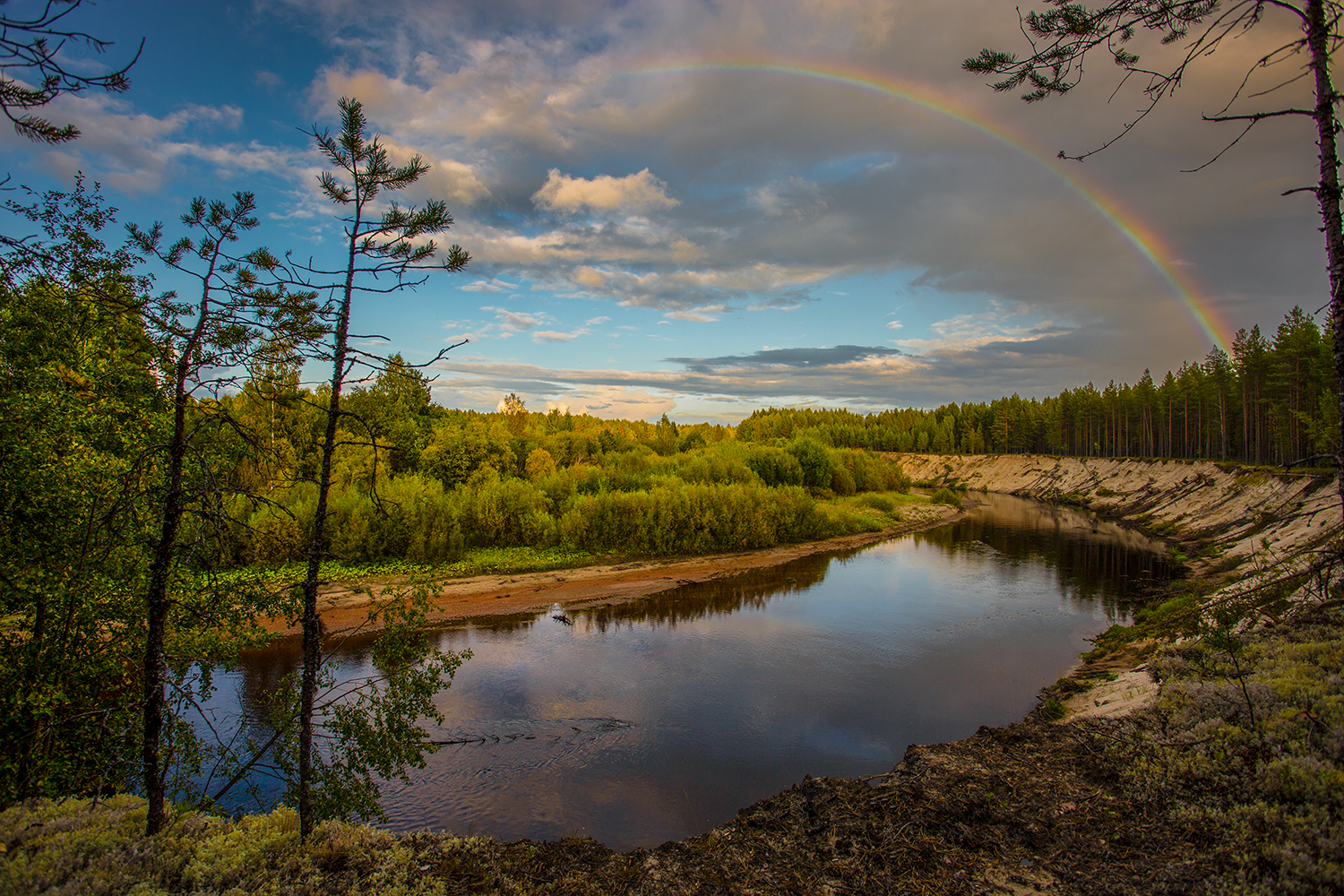 река, лето, радуга, лес, Наталия Колтакова
