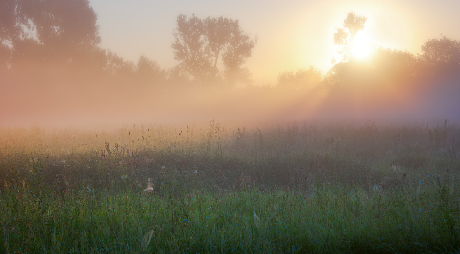 sunrise, fog, mist, landscape, morning, light, Виктор Тулбанов