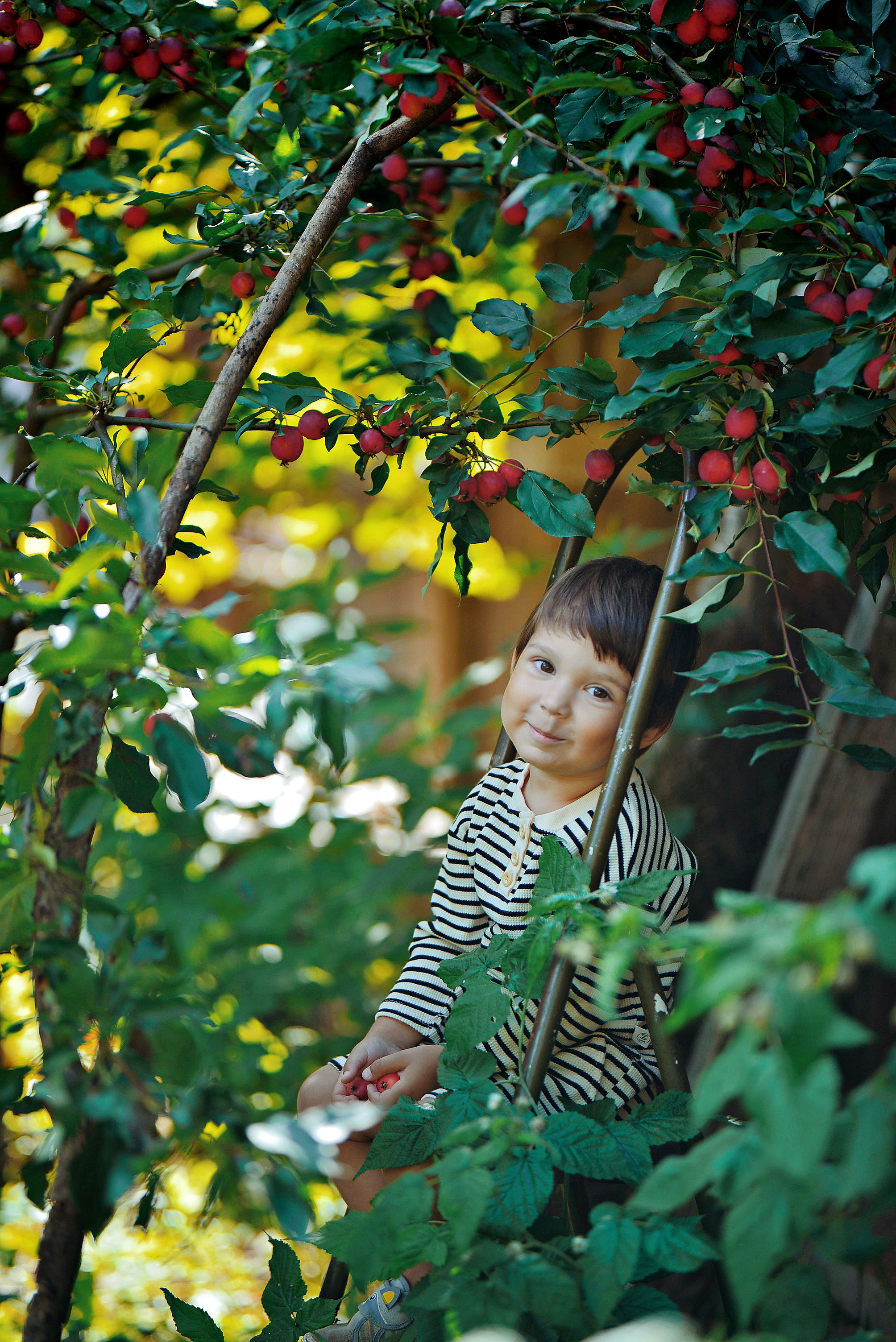 яблоки, лето, август, солнце, красивый свет, дети, ребёнок, Наталья Новкис