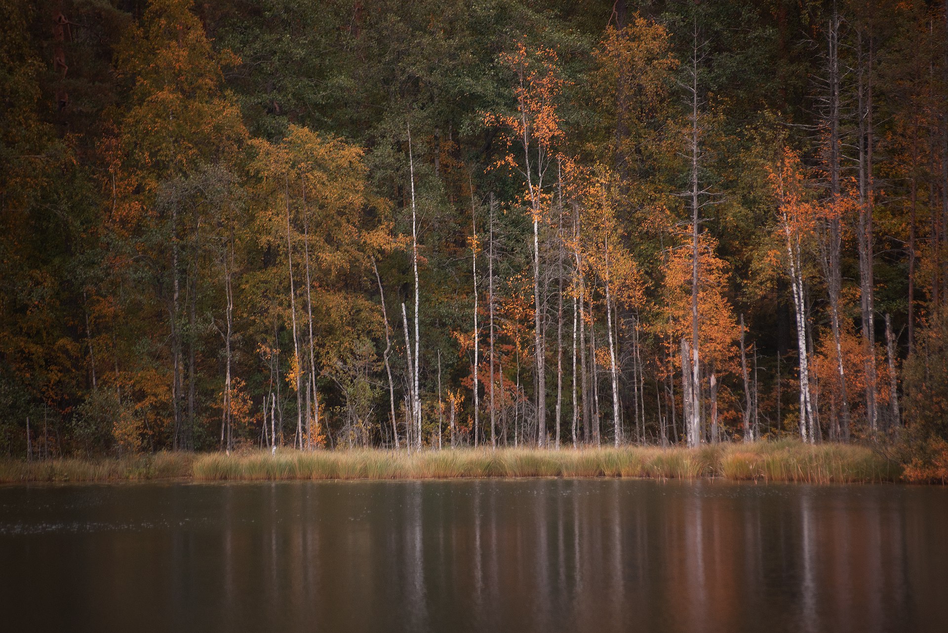 осень, отражение, озеро, карелия, ленинградская область, Чавыкина Анастасия