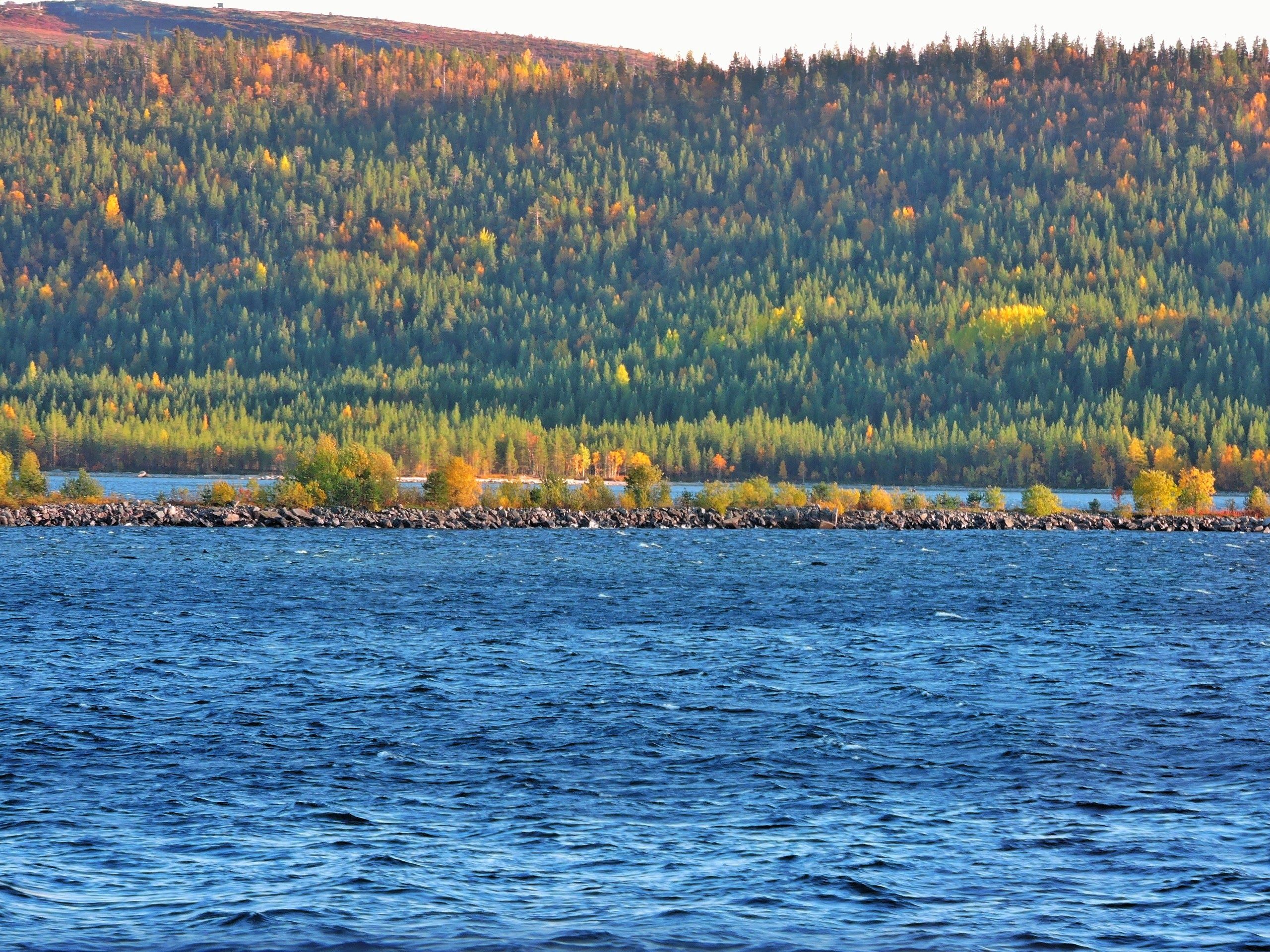 , Сахар Александр