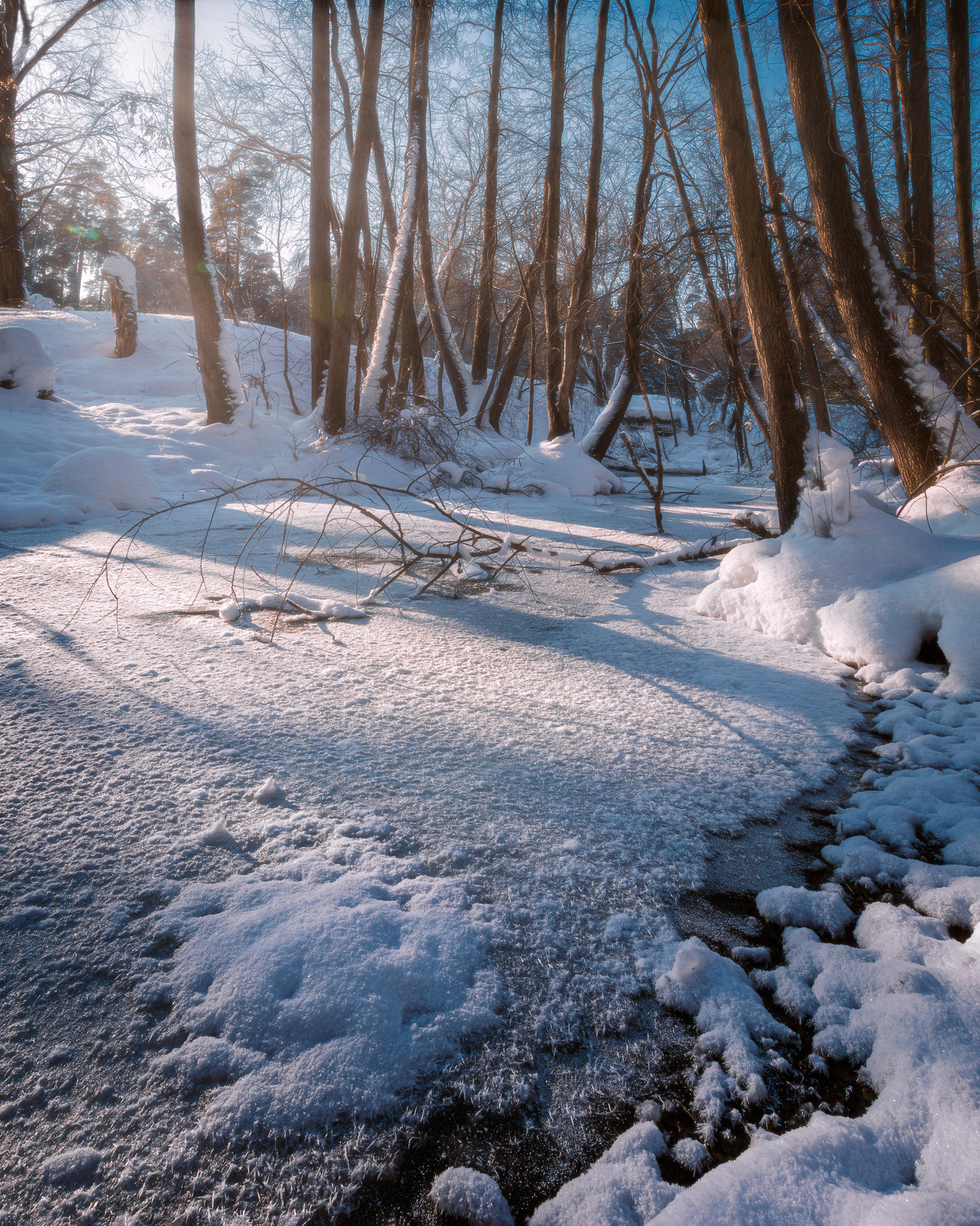 лес, деревья, снег, зима, пейзаж, Валерий Вождаев