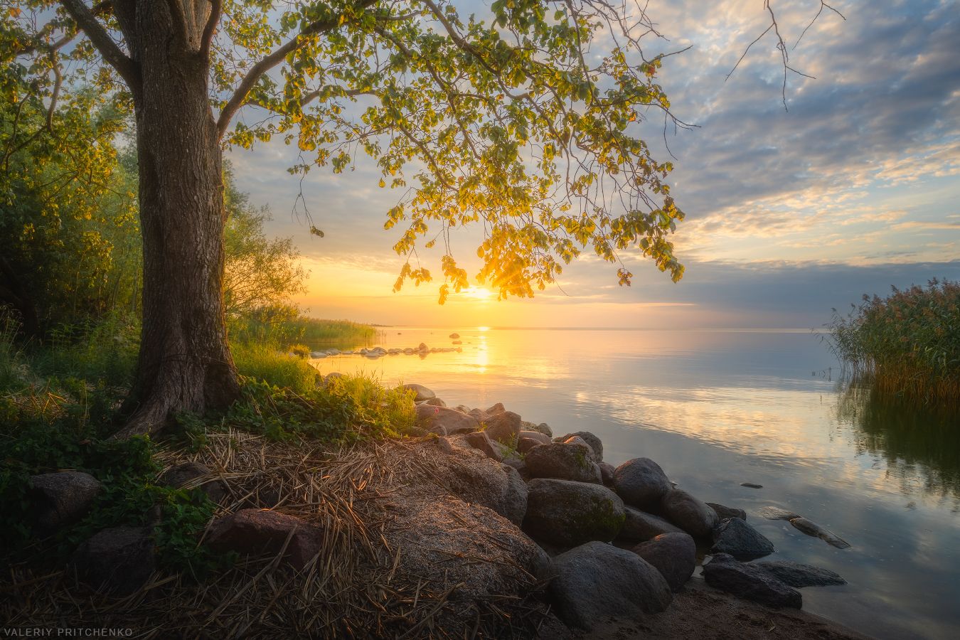 пейзаж, закат, природа, лето, тишина, landscape, calm, sunset, summer, nature, Валерий Притченко