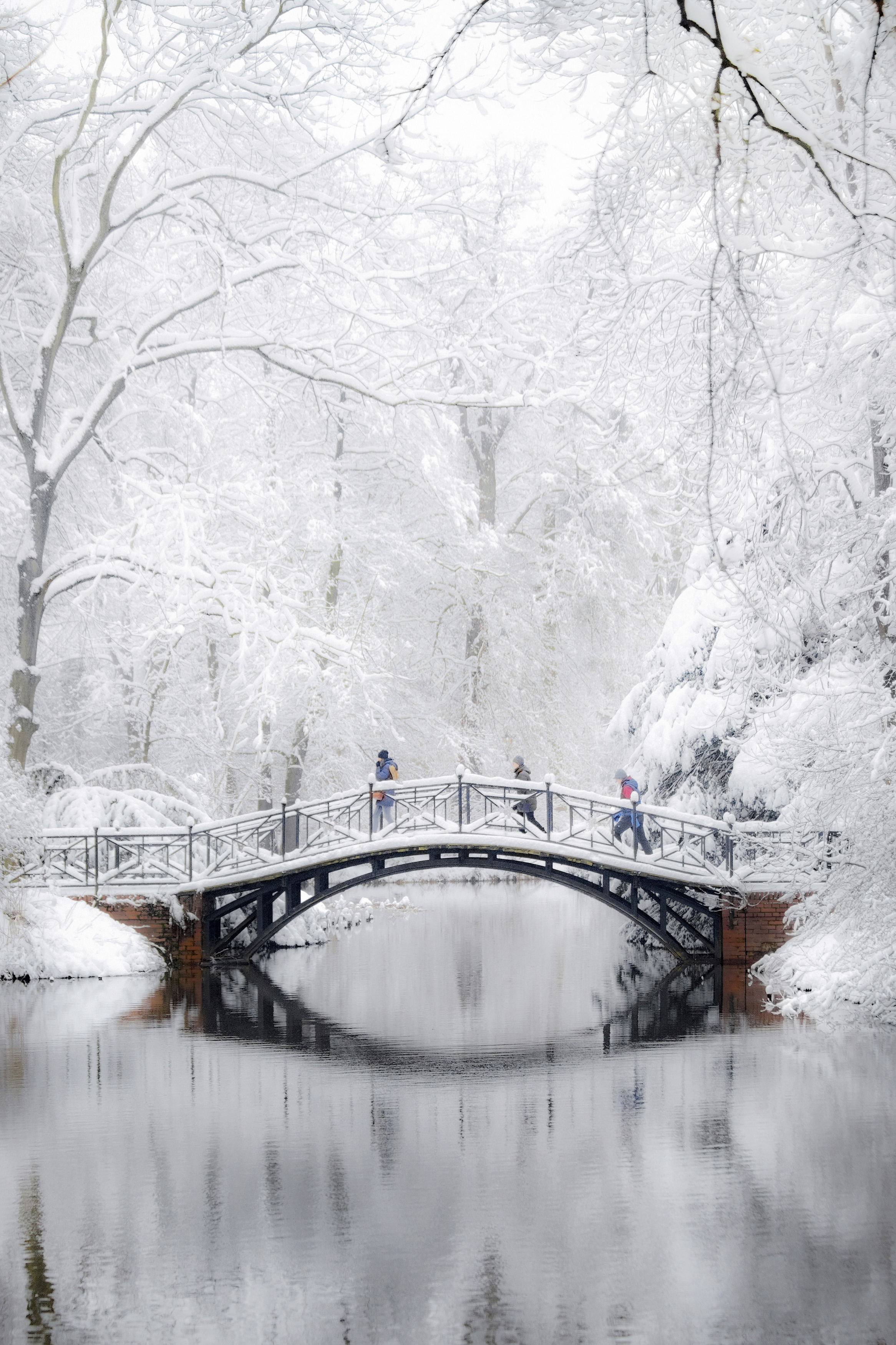Vertical, Photography, Snow, Winter, Bridge, Nature, Cold, Tree, Frozen, Architecture, Water, Park, Pszczyna, Damian Cyfka