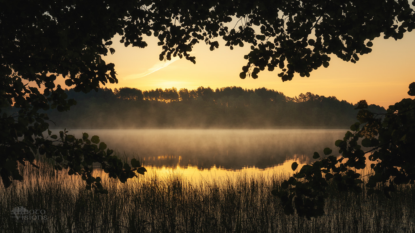 sunrise,rising sun,morning,landscape,trees,lake,lakeside,shoreline,forest,woodland,woods, Photo Visions