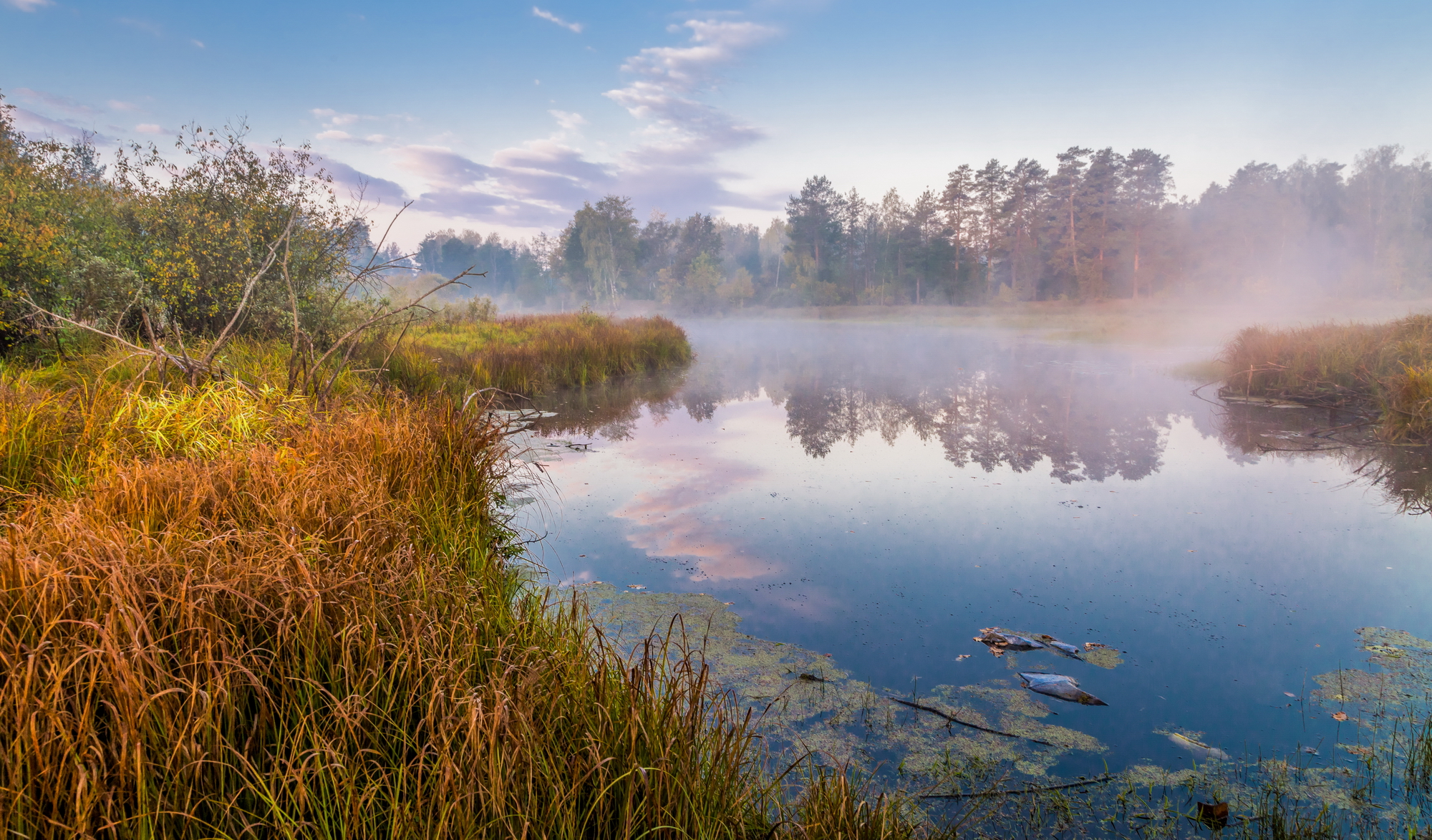 туман, осень, река, утро, пейзаж, Юрий Морозов