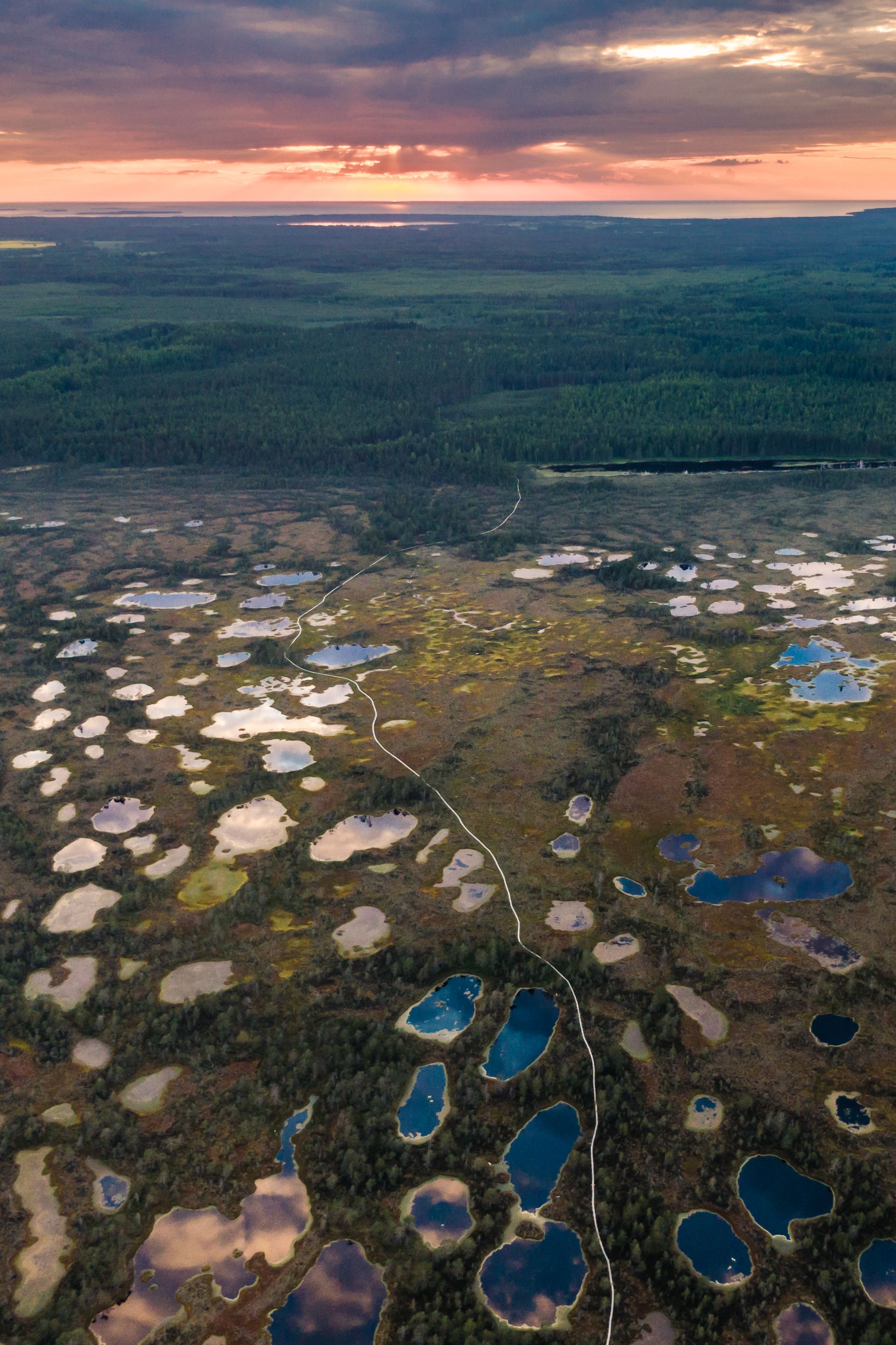 #harjumaa, #kõnnusuursoo, #eesti, #estonia, #estoniabogs, #swamp, #eestirabad, #bog, #bogs, #nature, #loodus, #eestiloodus, #ilusadeestipaigad, #visitestonia, #burningsky, #terviserajad, #hikingtrails, #hikingtrail, #sunsetphotography, #sunsetphoto, #sun, Nikolai Mordan