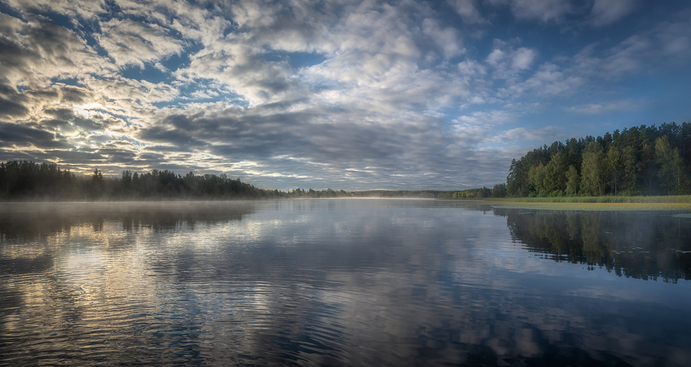 утро, селигер, озеро, лес , туман, Сергей Аникин