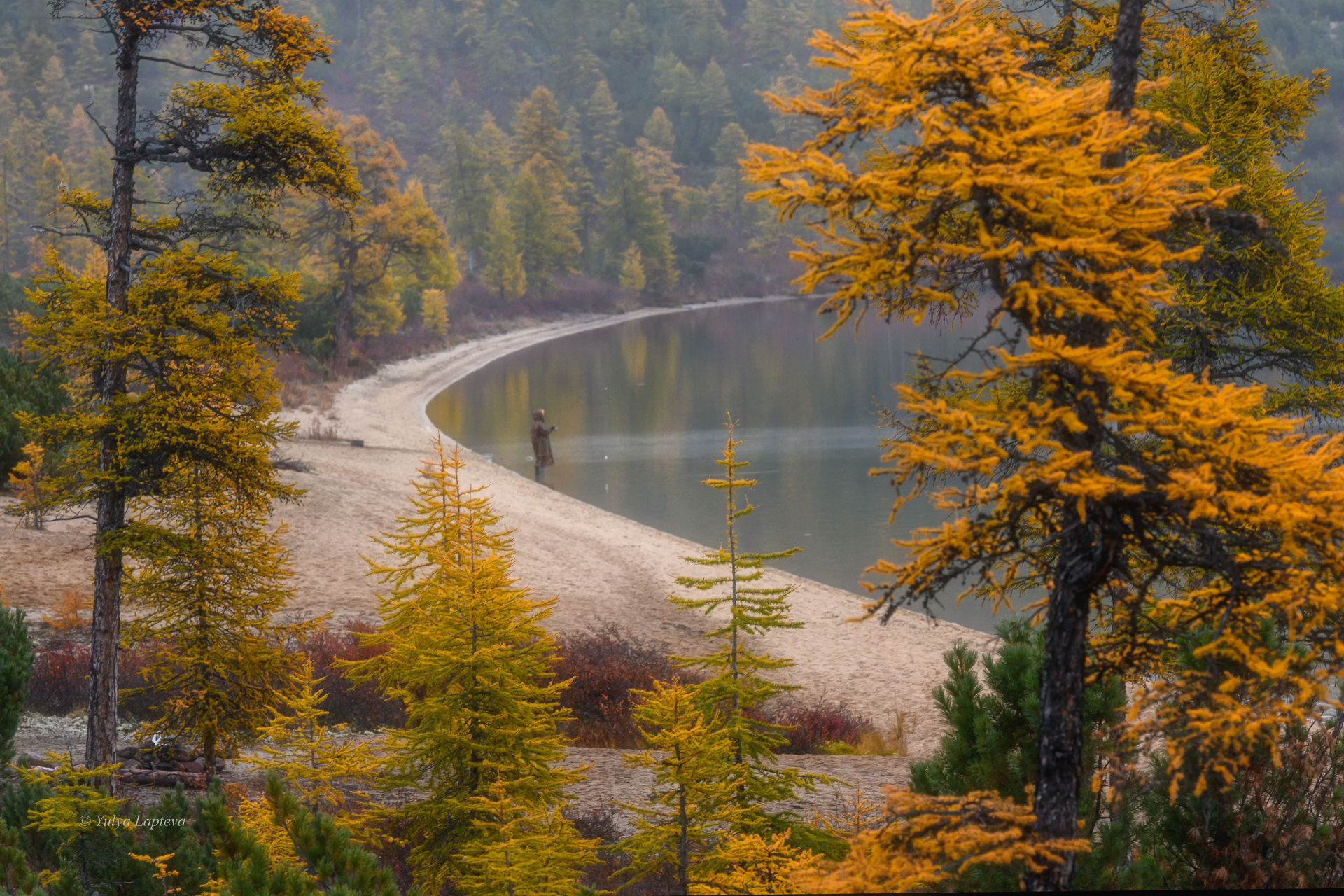 колыма, озеро джека лондона, золотая осень, магаданская область, Юлия Лаптева