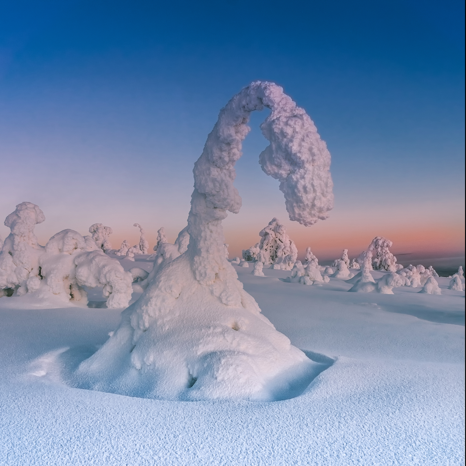 природа, пейзаж,парк, Финляндия, Лапландия, зима, снег, фигуры, Лариса Дука