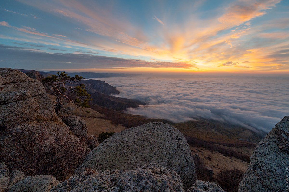 , Олег Логунов