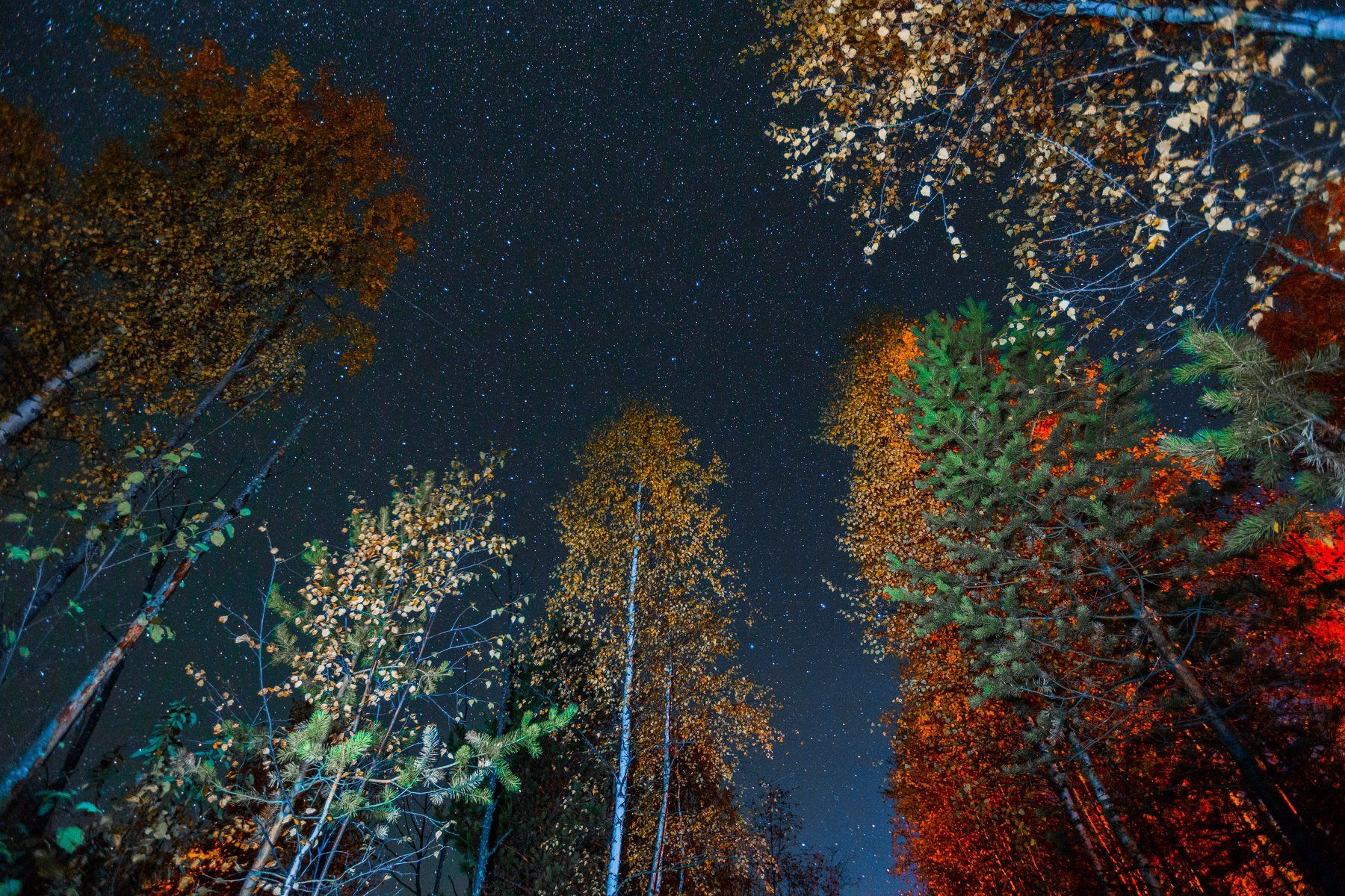 звёзды ночь астрономия вечер осень, Константин Миронов