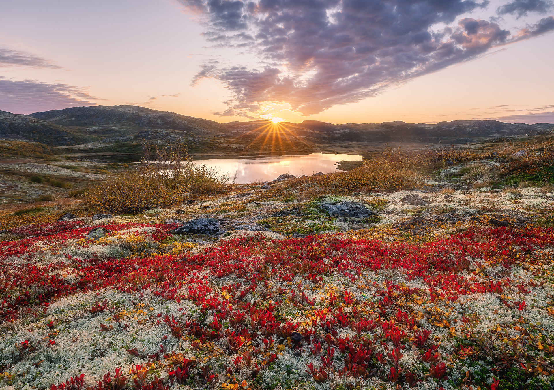 тундра осень териберка кольский полуостров пейзаж природа, Юхова Аня