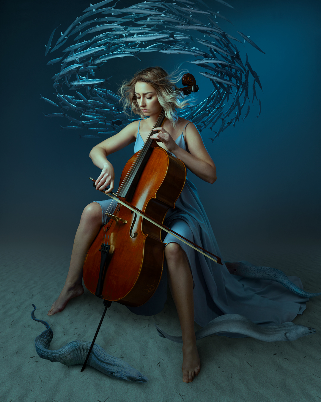 рыбы, океан, вода, виолончель, музыка, девушка, мурены, , Natalie Seitner