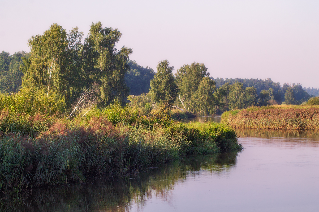 река, деревья,, Сергей Шабуневич