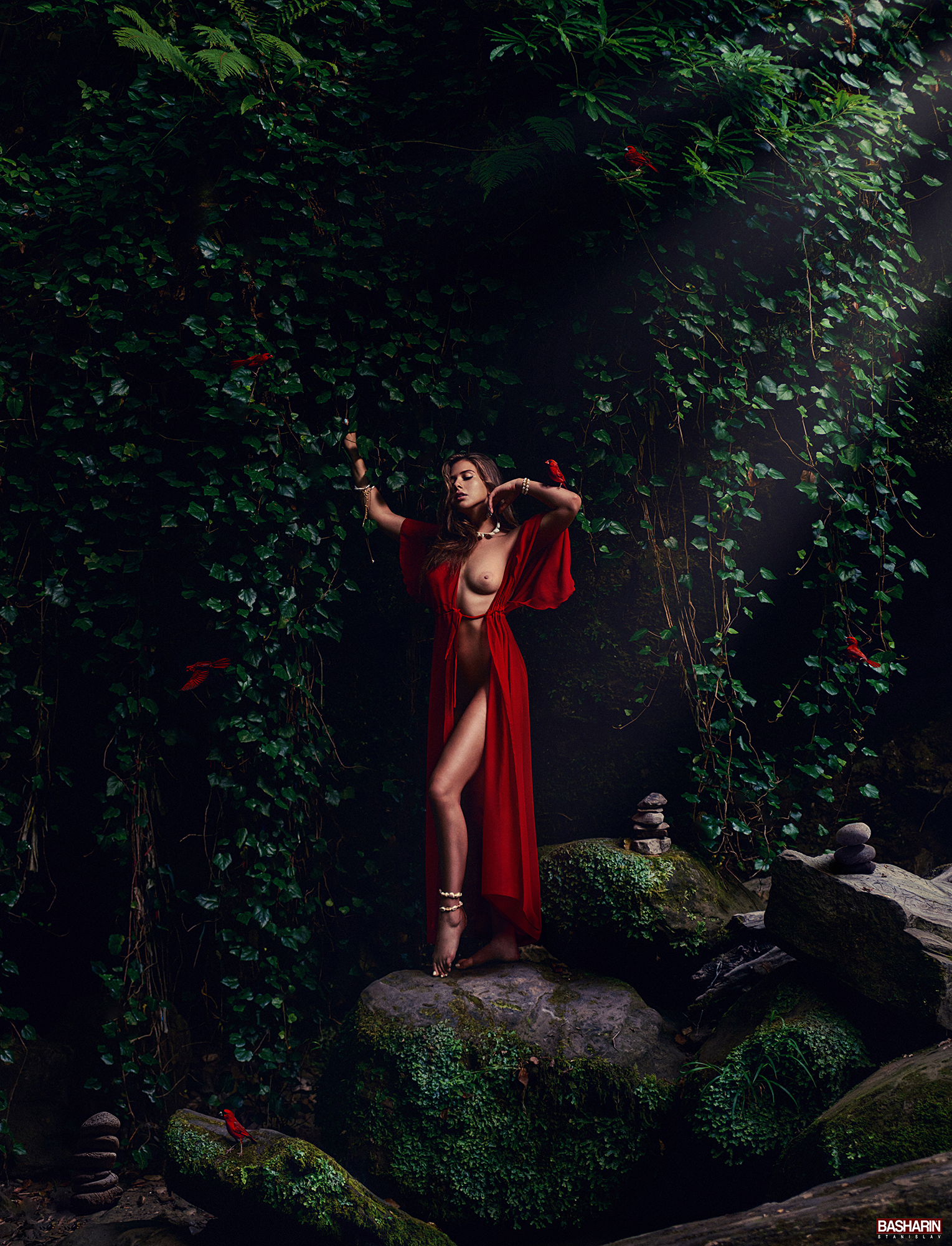красное платье, ню, тропики, природа, птицы, Станислав Башарин