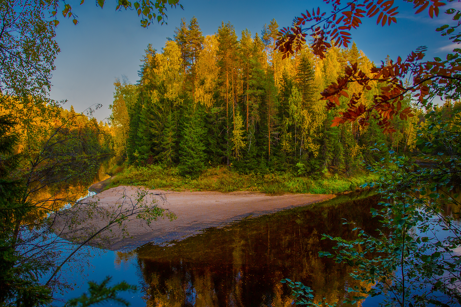 лес, река, осень, кулой, Наталия Колтакова