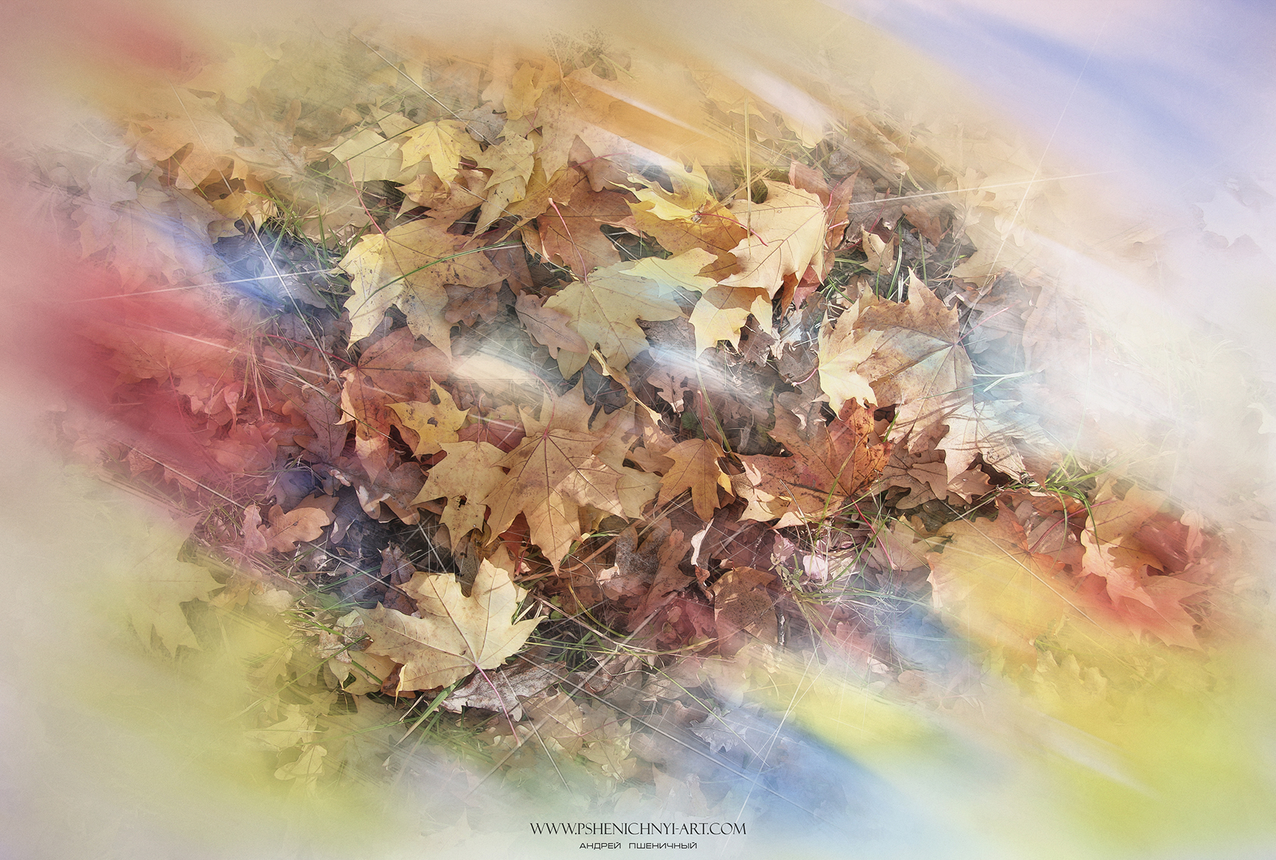 осень, опавшие листья, клён, акварель, абстракция, краски, свет, палитра, октябрь, Пшеничный Андрей